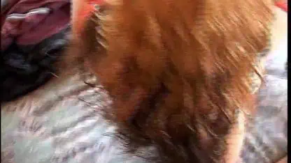 Cheating wife with huge tits gets her african pussy fucked