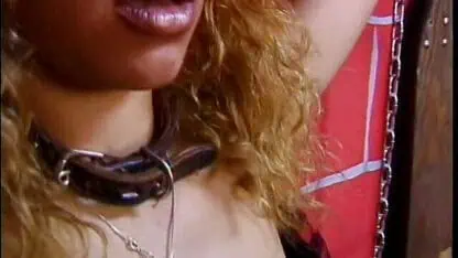 BDSM