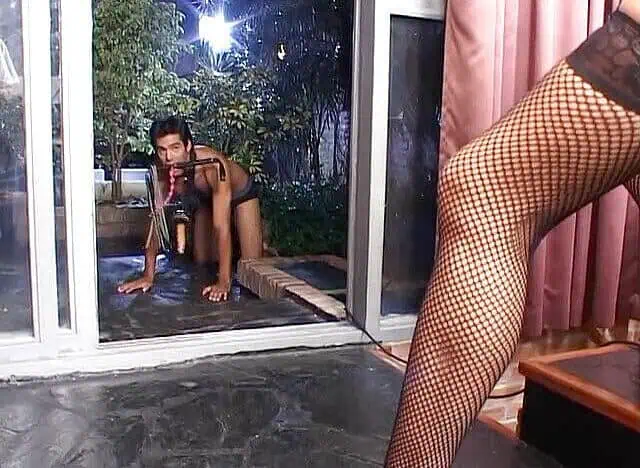 Horny dark haired slut and her slave